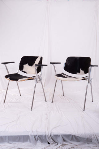 Two Piretti for Castelli metal stacking chairs with cowhide seats side by side. Set against a white backdrop.